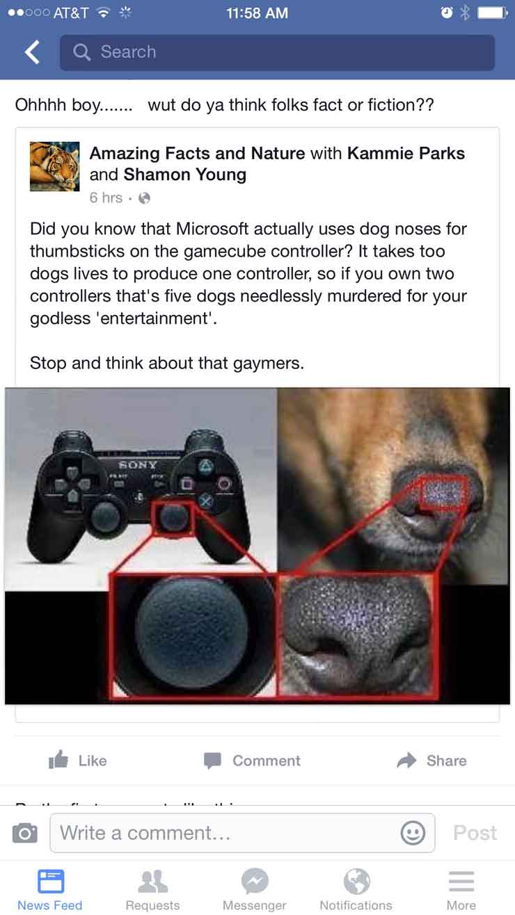 microsoft-dognoses-sized